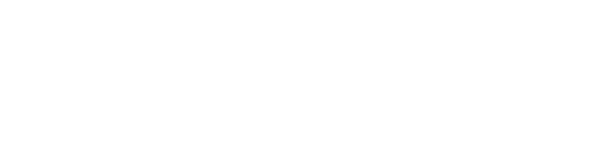 Flesan